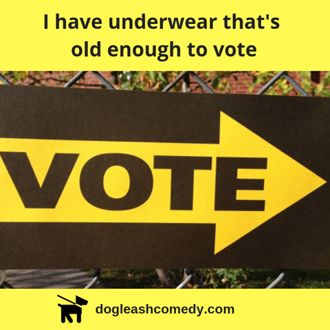 Old Enough to Vote