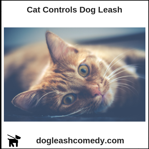 Cat Controls Dog Leash