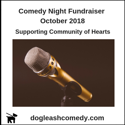 Comedy Night Fundraiser October 2018