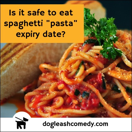 National Spaghetti Day 2019
