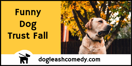 Funny Dog Trust Fall