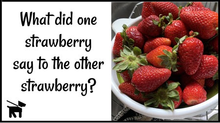 What did one strawberry say to the other strawberry?