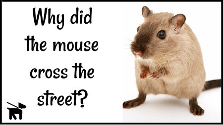 Why did the mouse cross the street?