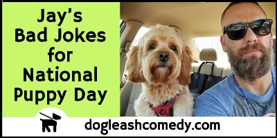 Jay’s Bad Jokes for National Puppy Day